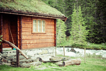 Obraz premium Typical Norwegian house with grass on the rooftop