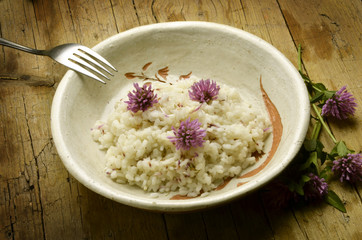 Trifolium シャジクソウ属 Trèfle Koniczyna Клевер Here תלתן