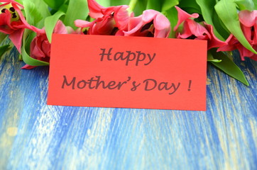 życzenia na dzień matki i piękne czerwone tulipany - obrazy, fototapety, plakaty