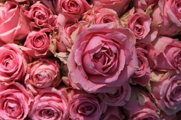 Pink roses in bridal bouquet