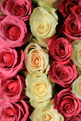 Roses in different shades of pink, bridal arrangement