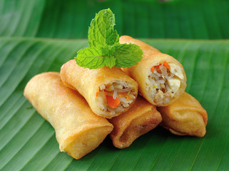 Fried Chinese Traditional Spring rolls food