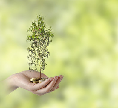 Investing to green business