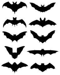 Black silhouettes of different bats, vector illustration