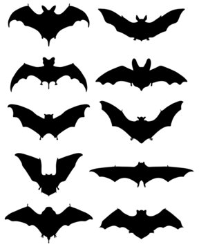 Black silhouettes of different bats, vector illustration