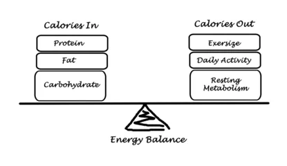 Foto op Plexiglas Balance between Energy intake and Energy expenditure © Dmitry