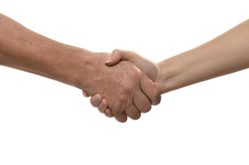 Handshake isolated on white