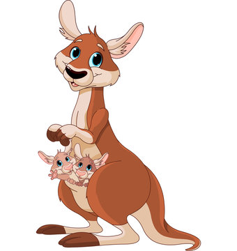 Kangaroo mom and babies