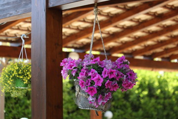 Fioriera appesa al gazebo.