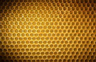 honeycomb background