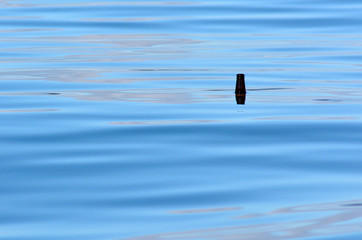 Bottle in wate