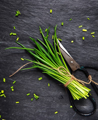Chopping a bunch of fresh chives