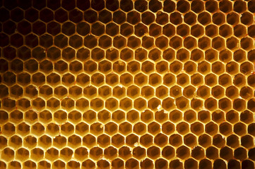 honeycomb background - 64893260