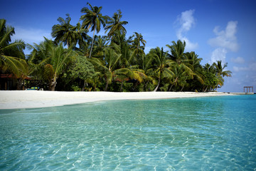 Beautiful beach in the Maldives