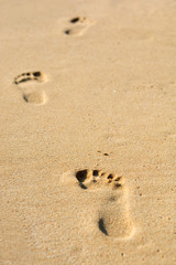 Fototapeta na wymiar Human footsteps