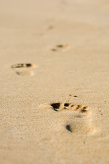 Fototapeta na wymiar Human footsteps