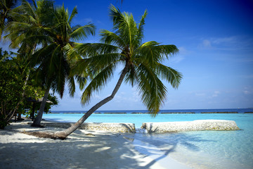 Beautiful beach in the Maldives