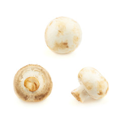 Three champignon mushrooms