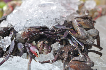 Preserved crab with salt on ice.