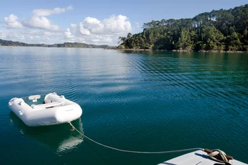 Foto op Plexiglas Roberton Island in the Bay of Islands New Zealand © Rafael Ben-Ari