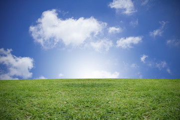 Obraz na płótnie Canvas green grass and blue sky on sunny day