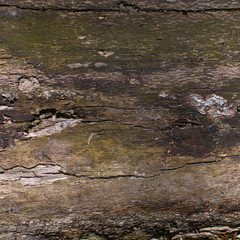 Old cut wooden deck.