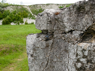 Chert which occurs in limestone