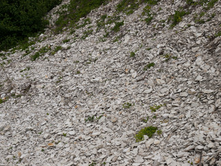 Marl in Inanimate nature reservation Bonarka in Krakow