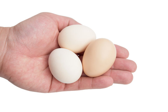hand holding eggs with clipping path