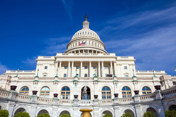 Fototapeta premium US Capitol Building