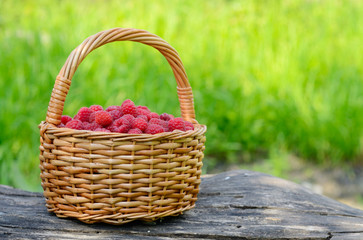 Fototapeta na wymiar Raspberries in the basket