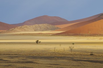 Fototapeta na wymiar Schattenspiele bei der Düne 45 im Namib-Naukluft-Park