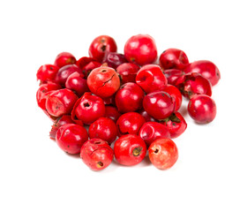 pink peppercorn isolated on white