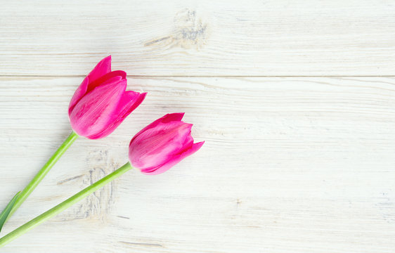 pink tulips on wooden surface