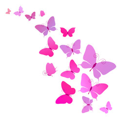 butterflies design