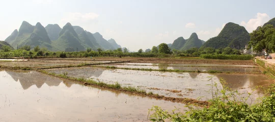 Fotobehang Panorama with rice field and green hills in Yangshuo © johnbeatl