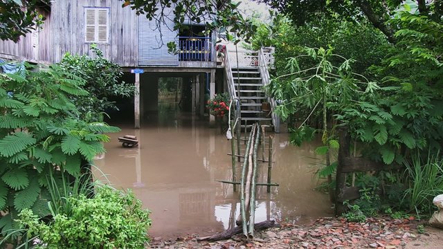 Flood waters under stilt-house and makeshift access footbridge in the foreground
