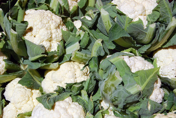 Cauliflower