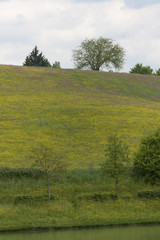 hilly landscape