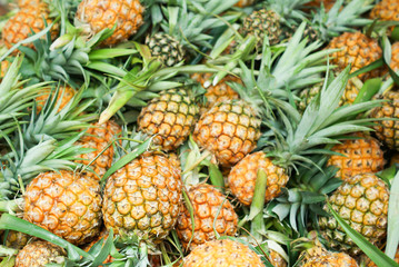 Fresh pineapples at Ecuadorian fresh fruit market