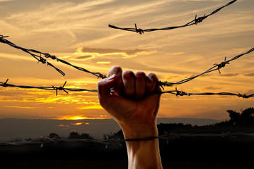 hand behind barbed wire