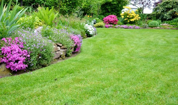 schöner Garten mit Rasenfläche
