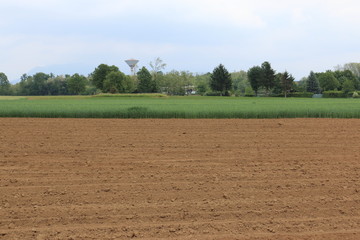Fototapeta na wymiar campo coltivato nella campagna comasca