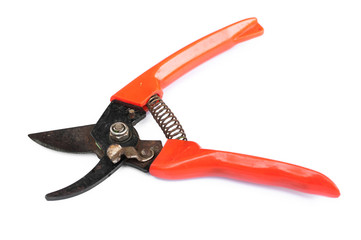 Orange pruning shears