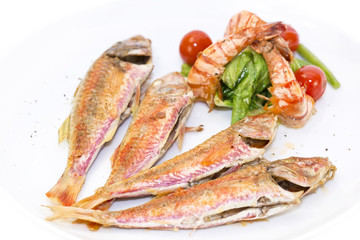 grilled fish with shrimp salad