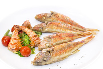 grilled fish with shrimp salad