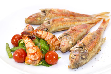 grilled fish with shrimp salad