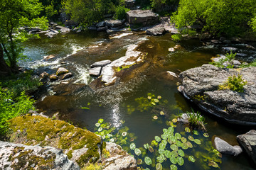 landscape of algae growing in fast mountain river