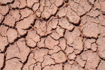 Global warming - parched earth