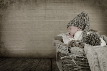 Newborn